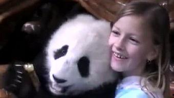 萝莉宝最新爆料,娱乐圈最新爆料大起底！